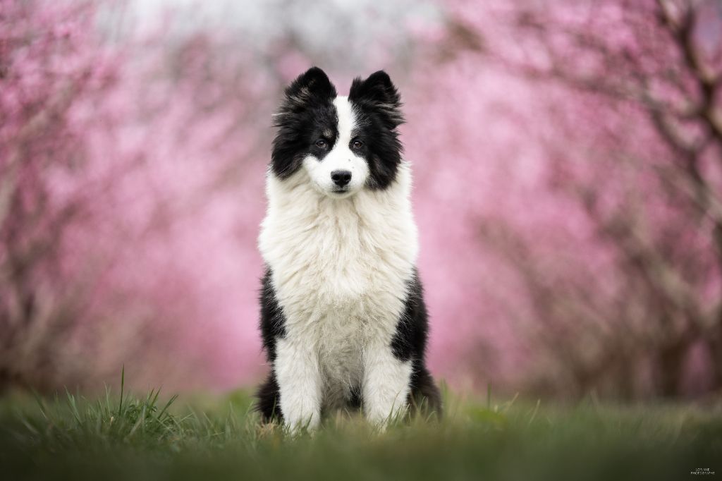 Oukaya forever Vozrojdenie dushi