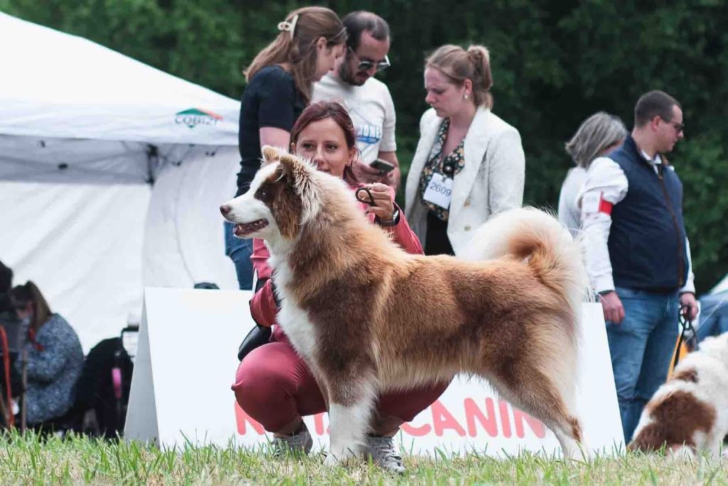 Valar morghulis L'eden Des Shokou