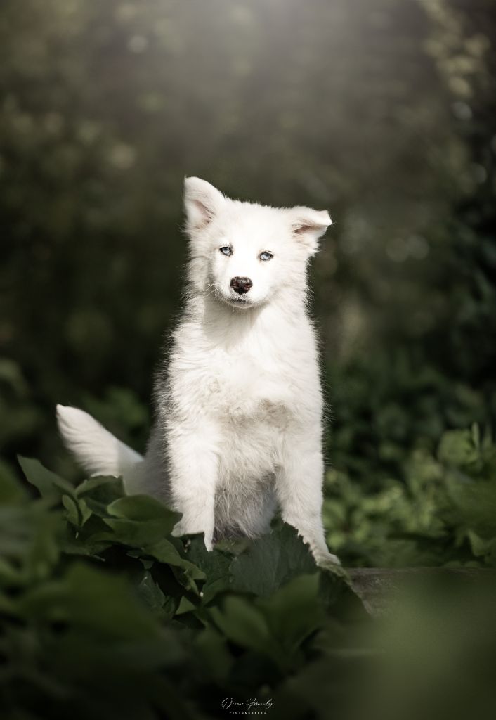 Oukaya forever Ainsi soit-elle